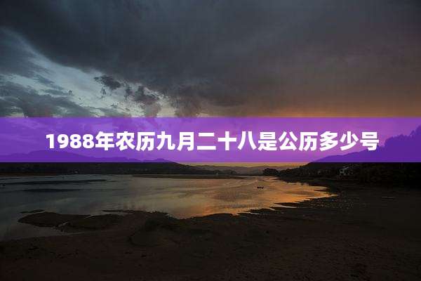 1988年农历九月二十八是公历多少号