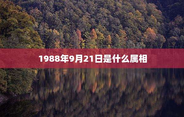 1988年9月21日是什么属相