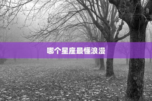 哪个星座最懂浪漫