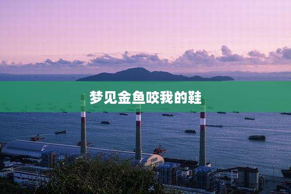 梦见金鱼咬我的鞋