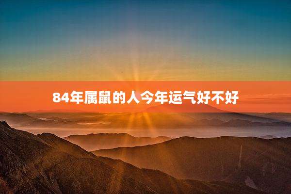84年属鼠的人今年运气好不好
