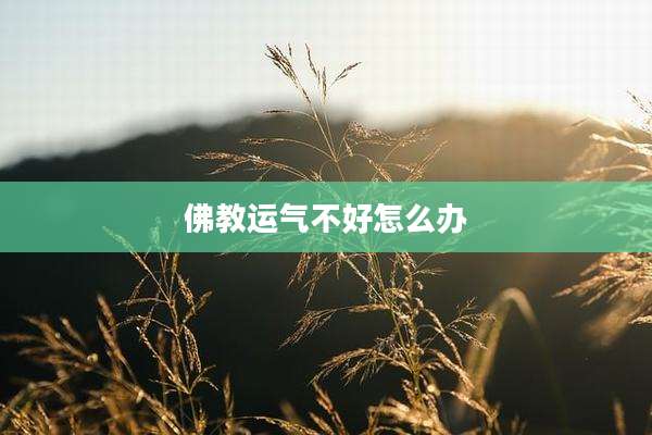 佛教运气不好怎么办