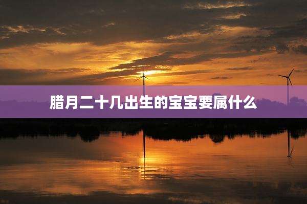 腊月二十几出生的宝宝要属什么