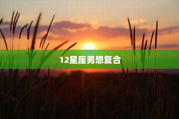 12星座男想复合