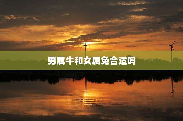 男属牛和女属兔合适吗