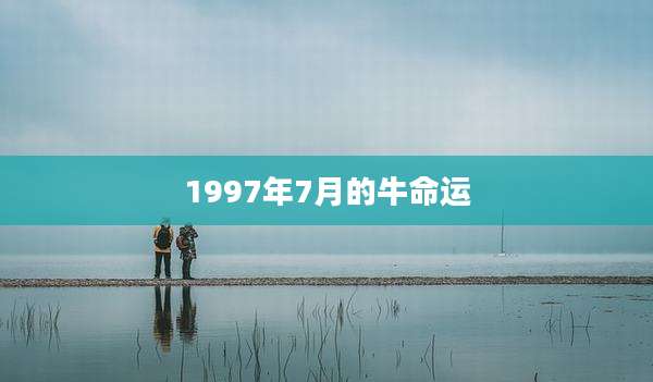 1997年7月的牛命运