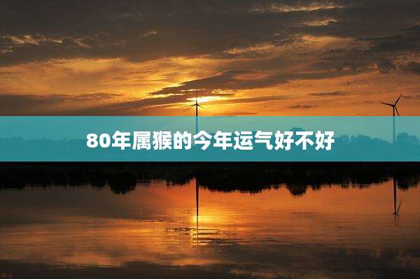 80年属猴的今年运气好不好