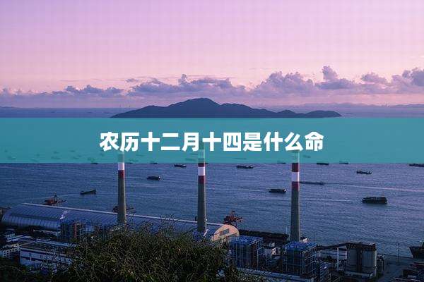 农历十二月十四是什么命