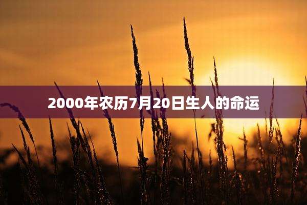 2000年农历7月20日生人的命运