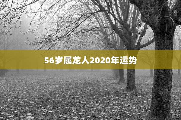 56岁属龙人2020年运势