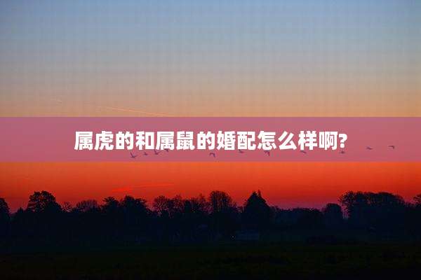 属虎的和属鼠的婚配怎么样啊?