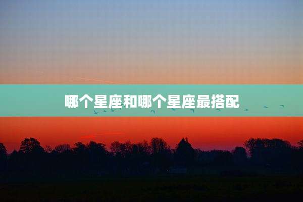 哪个星座和哪个星座最搭配
