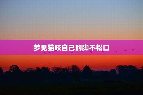 梦见猫咬自己的脚不松口