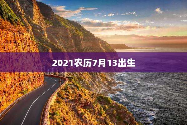 2021农历7月13出生