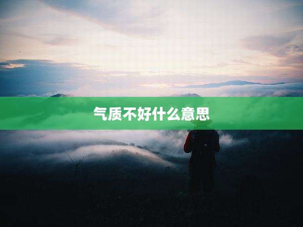 气质不好什么意思