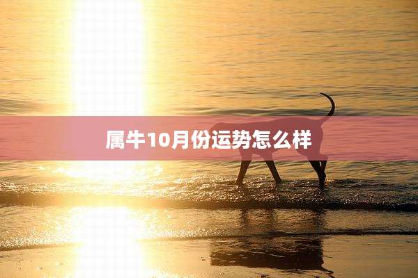 属牛10月份运势怎么样
