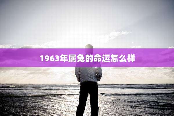 1963年属兔的命运怎么样