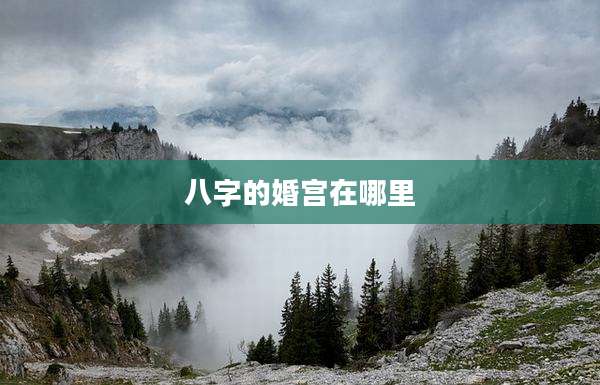 八字的婚宫在哪里