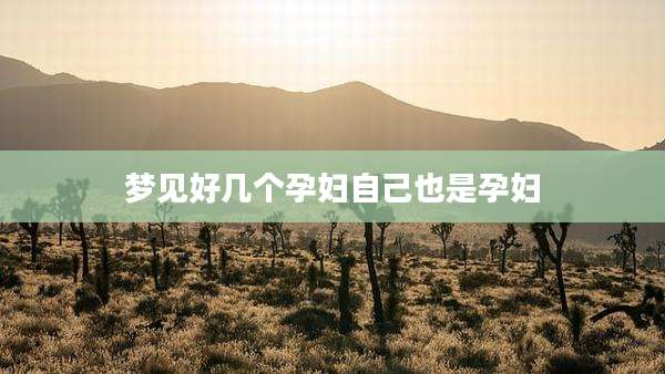 梦见好几个孕妇自己也是孕妇