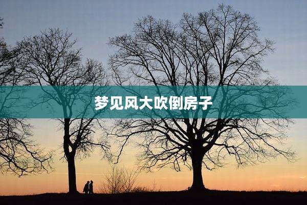 梦见风大吹倒房子