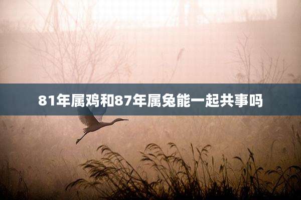 81年属鸡和87年属兔能一起共事吗