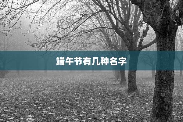 端午节有几种名字