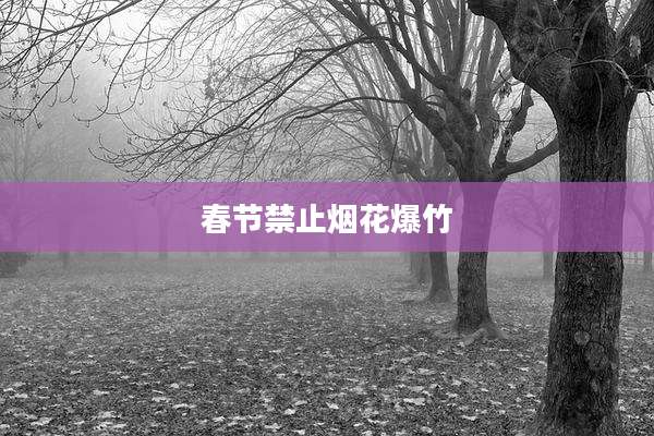 春节禁止烟花爆竹