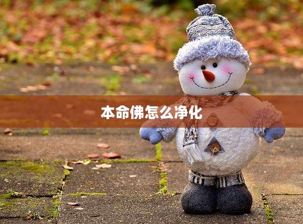 本命佛怎么净化