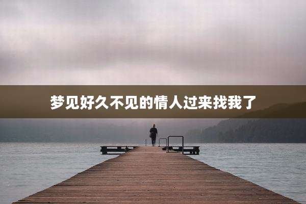 梦见好久不见的情人过来找我了
