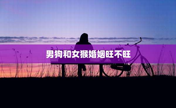 男狗和女猴婚姻旺不旺