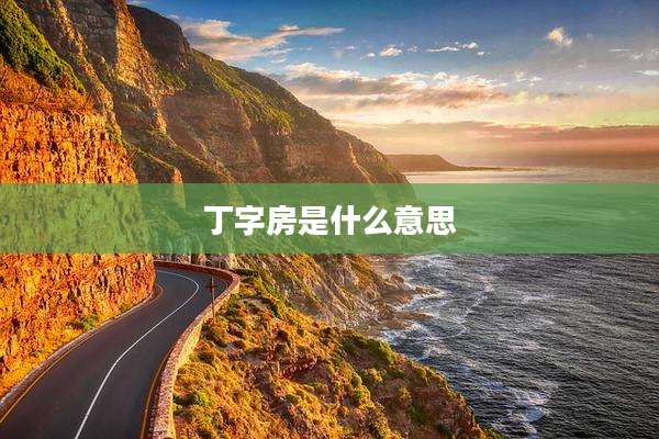 丁字房是什么意思