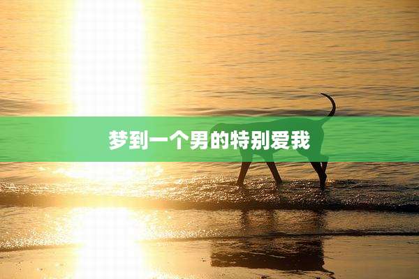 梦到一个男的特别爱我