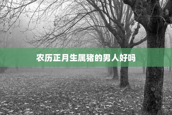 农历正月生属猪的男人好吗