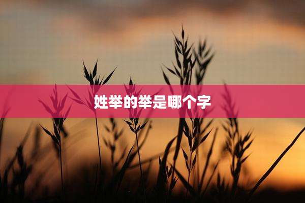 姓举的举是哪个字