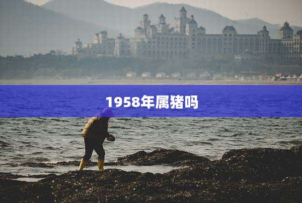 1958年属猪吗