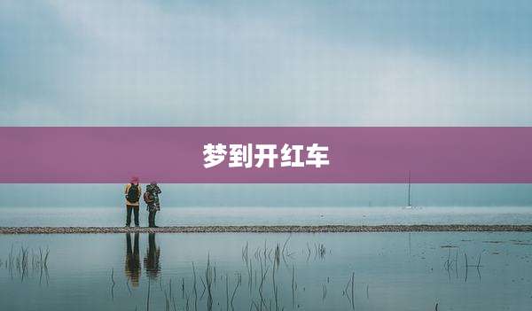 梦到开红车