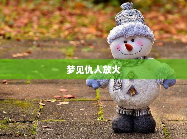 梦见仇人放火