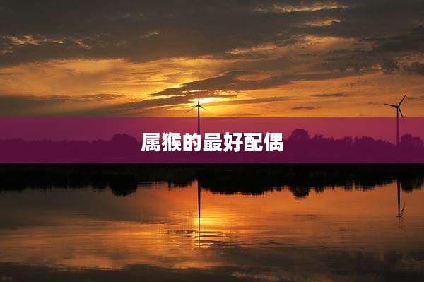 属猴的最好配偶