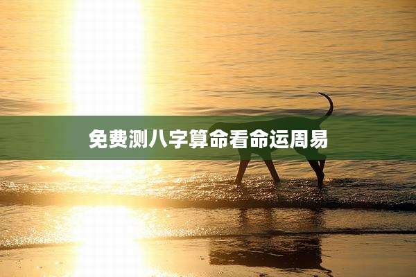 免费测八字算命看命运周易