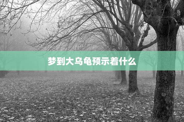 梦到大乌龟预示着什么