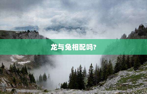 龙与兔相配吗?