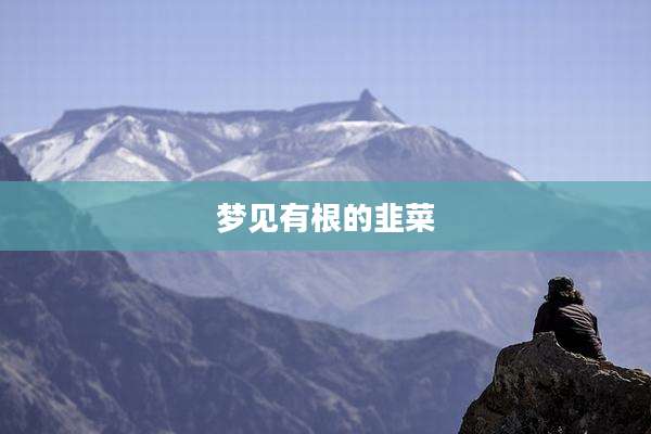 梦见有根的韭菜