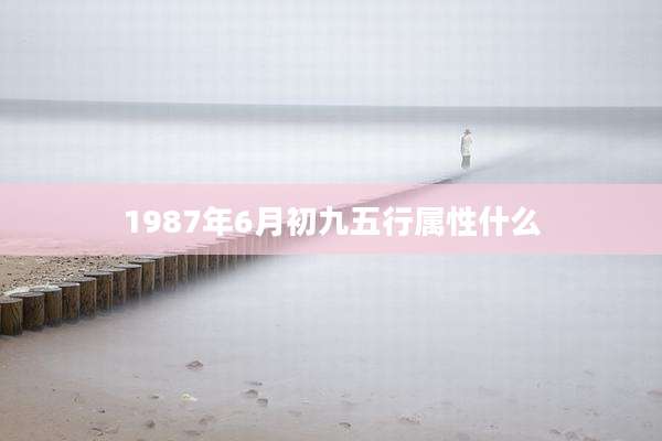 1987年6月初九五行属性什么