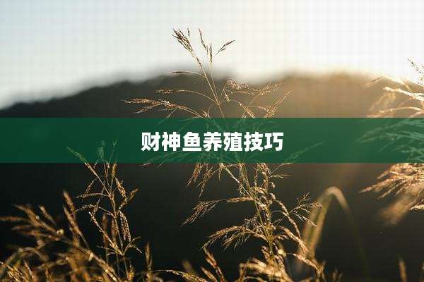 财神鱼养殖技巧