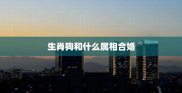 生肖狗和什么属相合婚