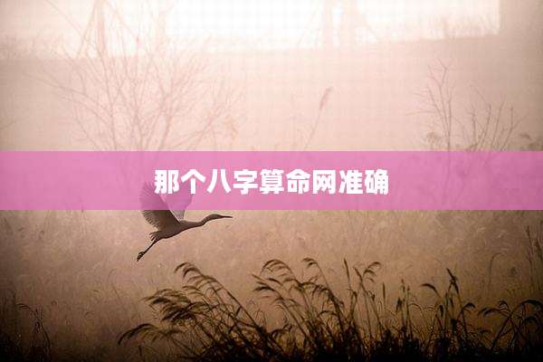 那个八字算命网准确