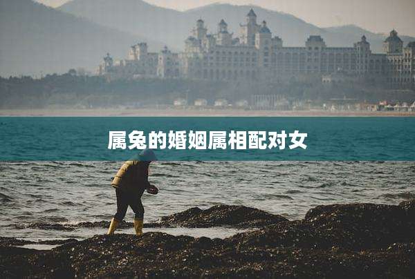 属兔的婚姻属相配对女