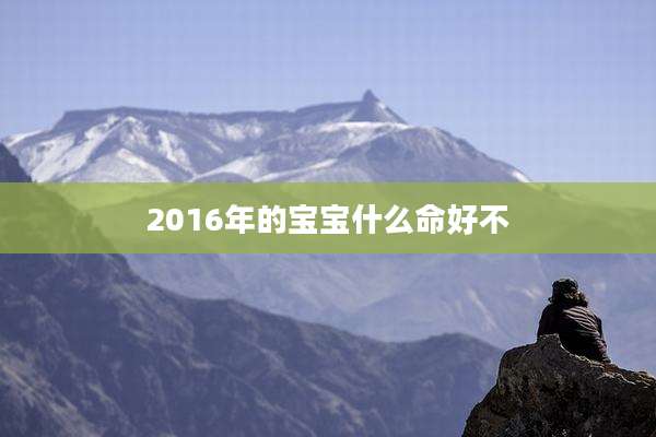 2016年的宝宝什么命好不