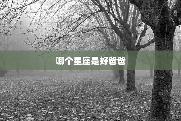 哪个星座是好爸爸