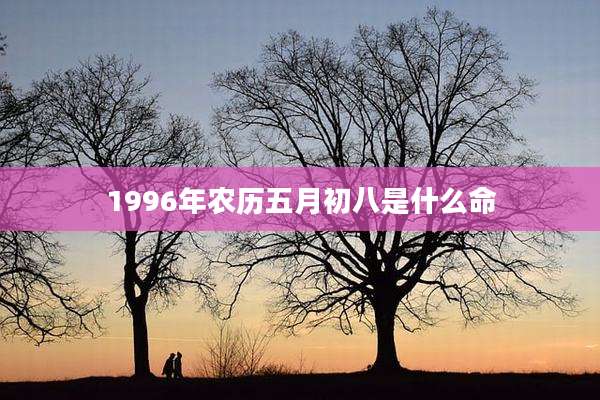 1996年农历五月初八是什么命